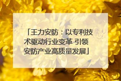 王力安防：以专利技术驱动行业变革 引领安防产业高质量发展