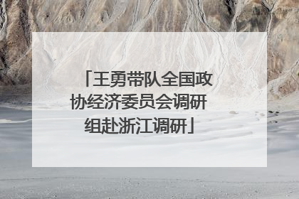 王勇带队全国政协经济委员会调研组赴浙江调研