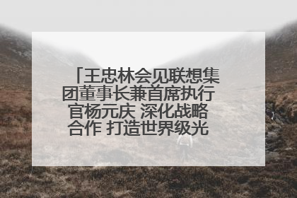 王忠林会见联想集团董事长兼首席执行官杨元庆 深化战略合作 打造世界级光电子信息产业集群