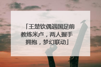 王楚钦偶遇国足前教练米卢，两人握手拥抱，梦幻联动