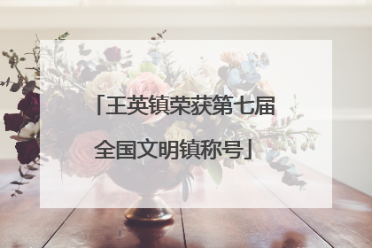 王英镇荣获第七届全国文明镇称号