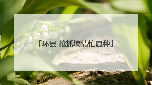 环县 抢抓墒情忙夏种