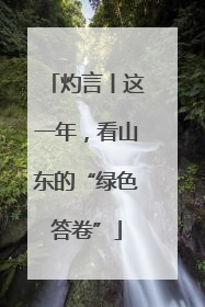 灼言丨这一年，看山东的“绿色答卷”