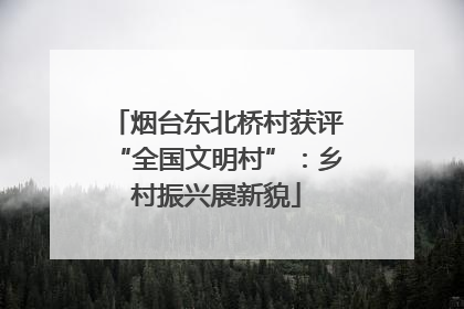 烟台东北桥村获评“全国文明村”：乡村振兴展新貌