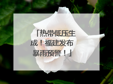 热带低压生成！福建发布暴雨预警！