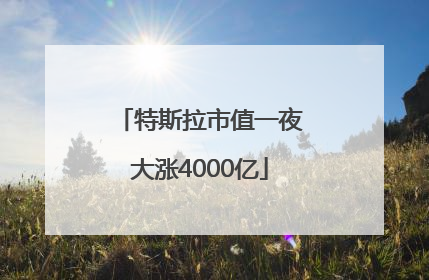 特斯拉市值一夜大涨4000亿