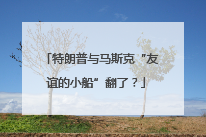 特朗普与马斯克“友谊的小船”翻了？