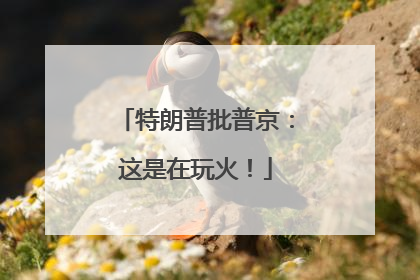 特朗普批普京：这是在玩火！