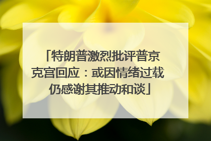 特朗普激烈批评普京 克宫回应：或因情绪过载 仍感谢其推动和谈