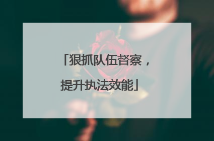 狠抓队伍督察，提升执法效能