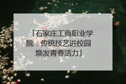 石家庄工商职业学院：传统技艺进校园焕发青春活力