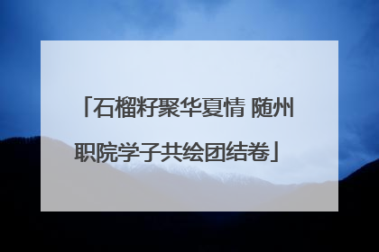 石榴籽聚华夏情 随州职院学子共绘团结卷