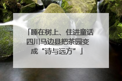 睡在树上、住进童话 四川马边县把茶园变成“诗与远方”