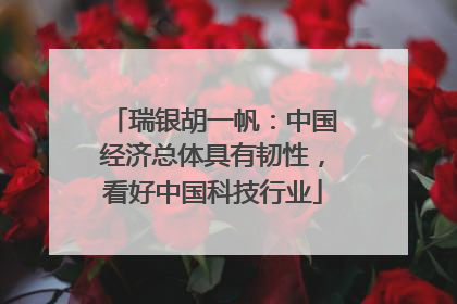 瑞银胡一帆：中国经济总体具有韧性，看好中国科技行业