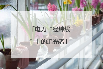 电力“经纬线”上的追光者