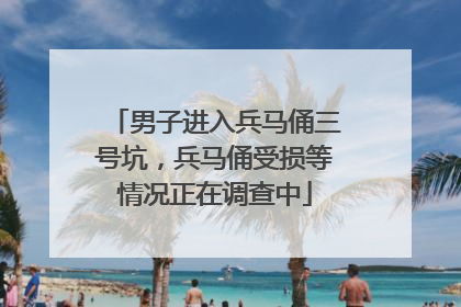 男子进入兵马俑三号坑，兵马俑受损等情况正在调查中