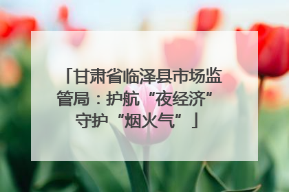 甘肃省临泽县市场监管局：护航“夜经济” 守护“烟火气”