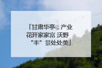 甘肃华亭：产业花开家家富 沃野“丰”景处处美
