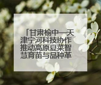 甘肃榆中—天津宁河科技协作推动高原夏菜智慧育苗与品种革新工程