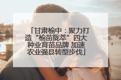 甘肃榆中：聚力打造“榆苗陇萃”四大种业育苗品牌 加速农业强县转型步伐