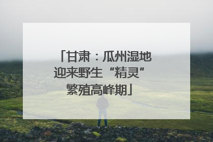 甘肃：瓜州湿地迎来野生“精灵”繁殖高峰期