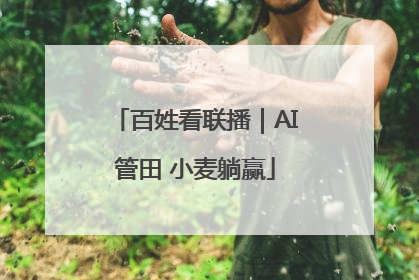 百姓看联播｜AI管田 小麦躺赢