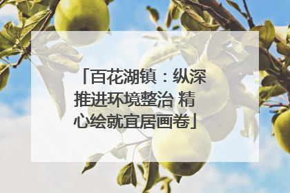 百花湖镇：纵深推进环境整治 精心绘就宜居画卷