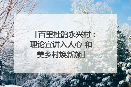 百里杜鹃永兴村：理论宣讲入人心 和美乡村焕新颜