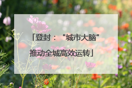 登封：“城市大脑”推动全城高效运转
