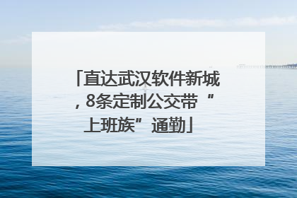 直达武汉软件新城，8条定制公交带“上班族”通勤