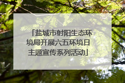 盐城市射阳生态环境局开展六五环境日主题宣传系列活动