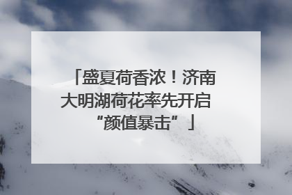 盛夏荷香浓！济南大明湖荷花率先开启“颜值暴击”