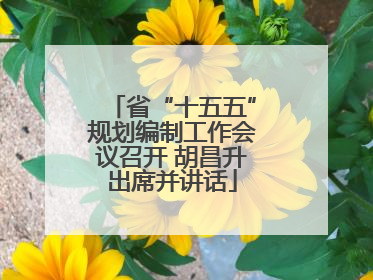 省“十五五”规划编制工作会议召开 胡昌升出席并讲话