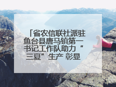 省农信联社派驻鱼台县唐马镇第一书记工作队助力“三夏”生产 彰显为民担当