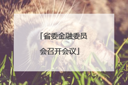 省委金融委员会召开会议