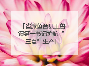 省派鱼台县王鲁镇第一书记护航“三夏”生产