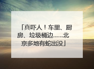 真吓人！车里、厨房、垃圾桶边……北京多地有蛇出没