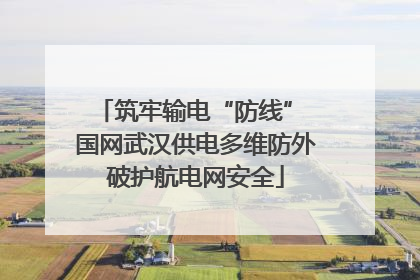 筑牢输电“防线” 国网武汉供电多维防外破护航电网安全