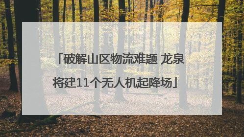 破解山区物流难题 龙泉将建11个无人机起降场