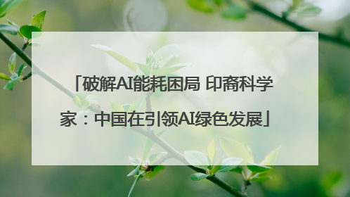 破解AI能耗困局 印裔科学家：中国在引领AI绿色发展