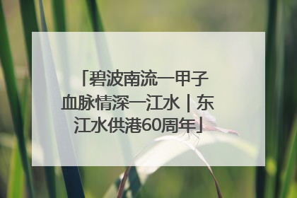 碧波南流一甲子 血脉情深一江水｜东江水供港60周年