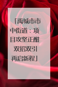 禹城市市中街道：项目攻坚正酣 双招双引再启新程