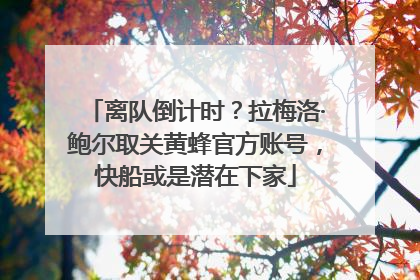 离队倒计时？拉梅洛·鲍尔取关黄蜂官方账号，快船或是潜在下家