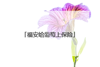 福安给葡萄上保险