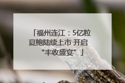 福州连江：5亿粒夏鲍陆续上市 开启“丰收盛宴”