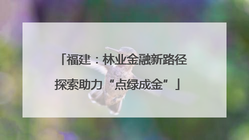 福建：林业金融新路径探索助力“点绿成金”