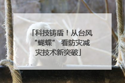 科技铸盾！从台风“蝴蝶” 看防灾减灾技术新突破