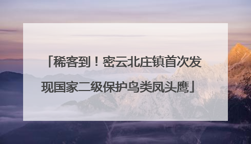 稀客到！密云北庄镇首次发现国家二级保护鸟类凤头鹰