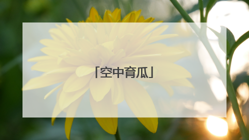 空中育瓜