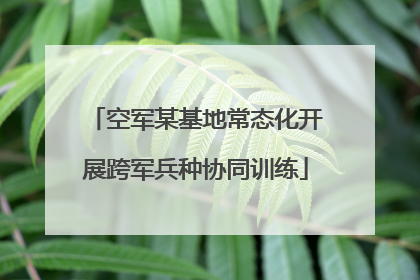空军某基地常态化开展跨军兵种协同训练